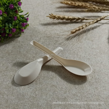 Eco-Friendly Biodegradable  Disposable Cornstarch Chinese Spoons